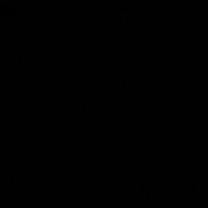 Meet your Posher, Israa